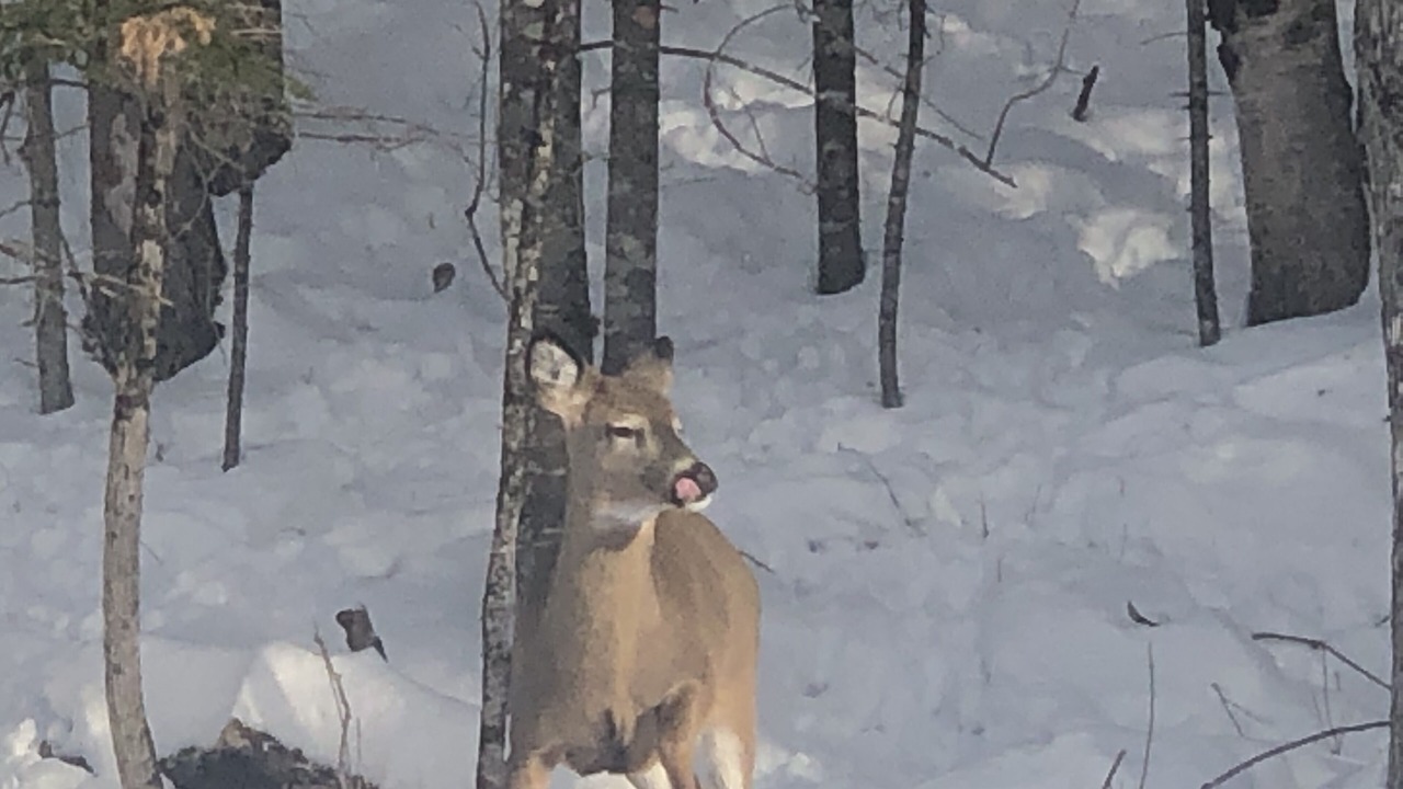 Photo of Outdoor in Anson
