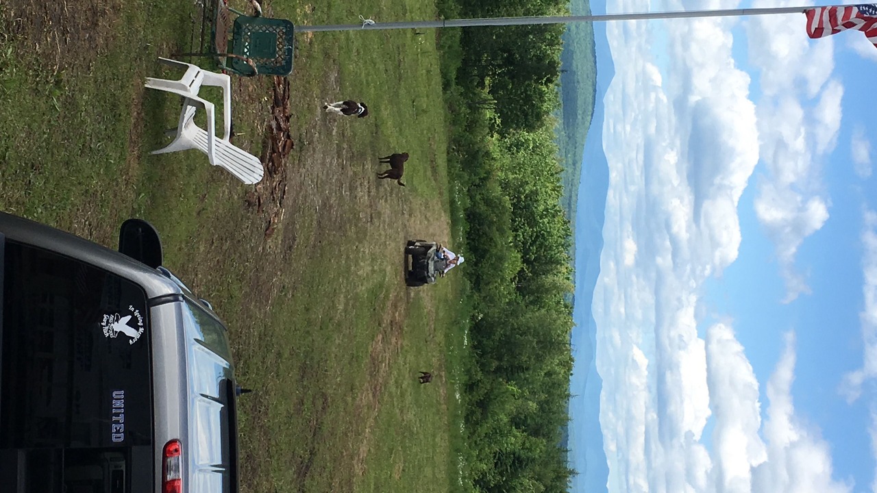 Photo of Others in Anson