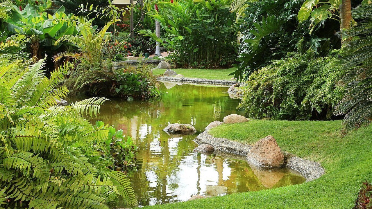 Photo of Outdoor in Marina Vallarta