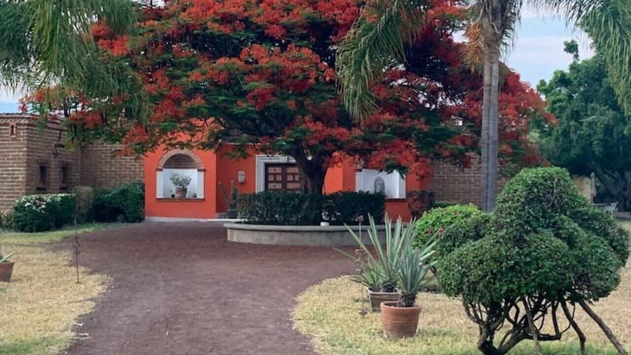 Photo of Outdoor in Yautepec