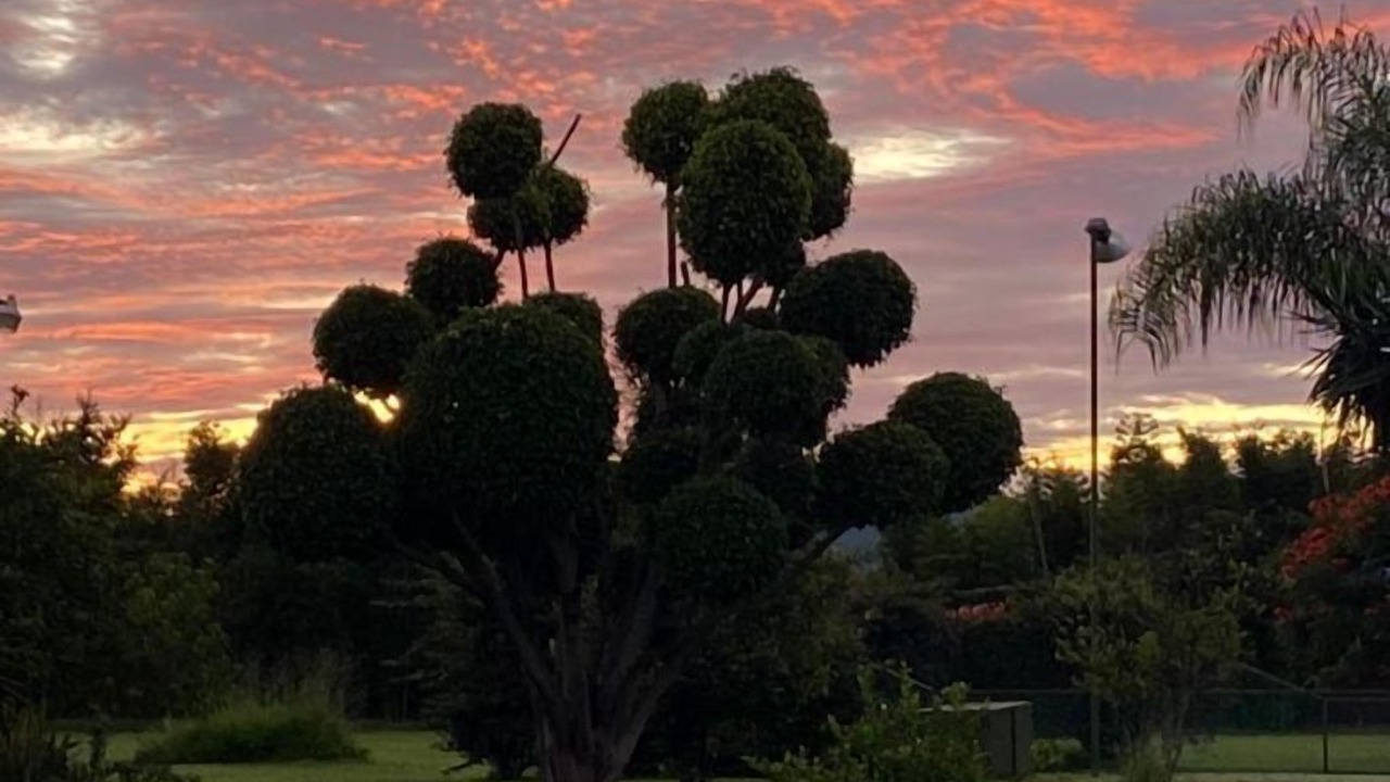 Photo of Outdoor in Yautepec