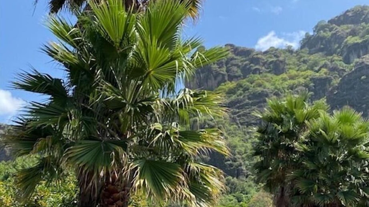 Photo of Outdoor in Valle de Atongo