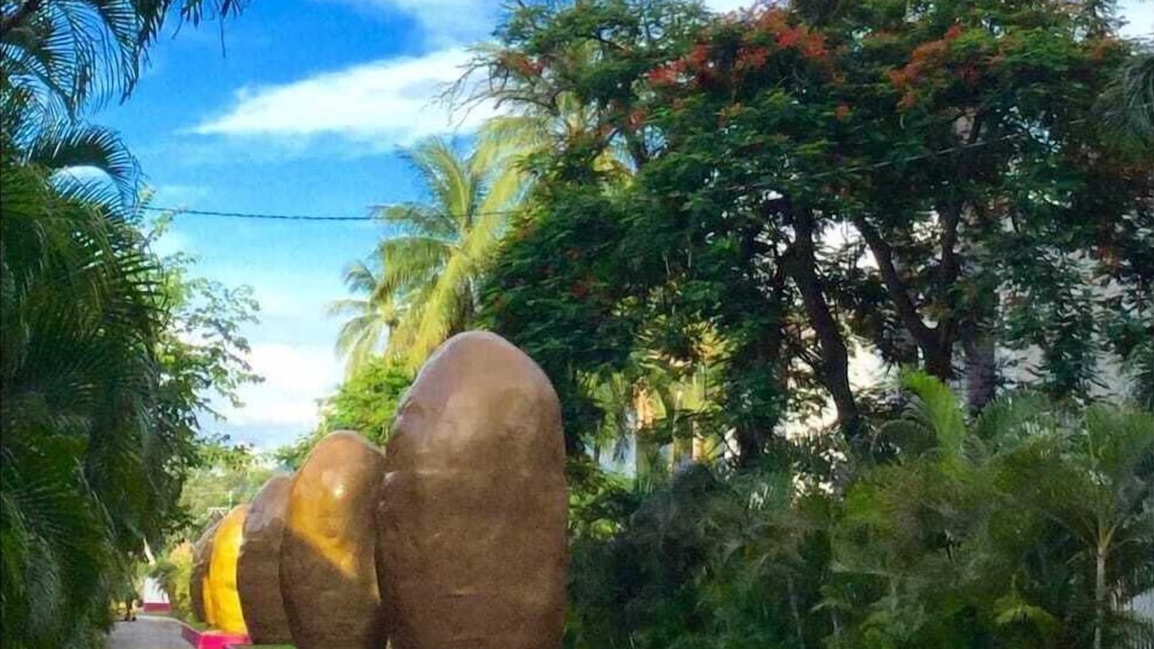 Photo of Outdoor in North Hotel Zone