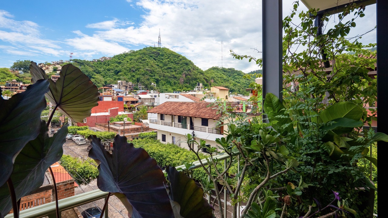 Photo of Outdoor in Emiliano Zapata