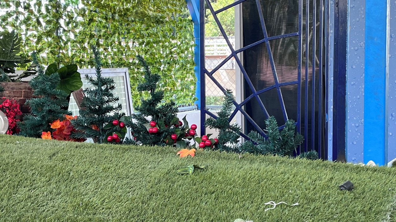 Photo of Outdoor in Guadalajara Municipality