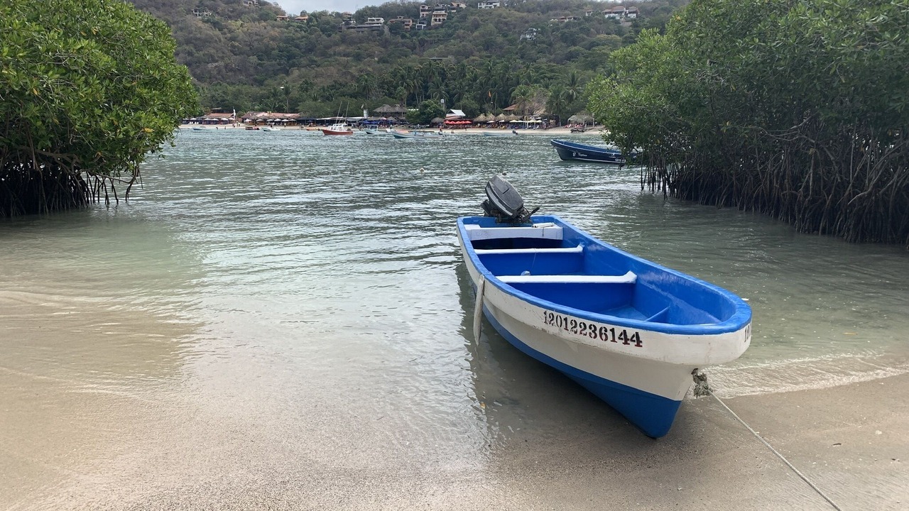 Photo of Others in Playa la Madera