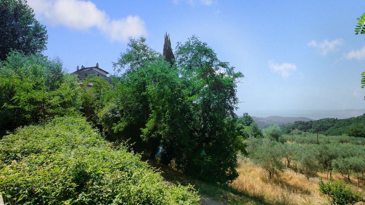 Photo of Others in Sesto Fiorentino