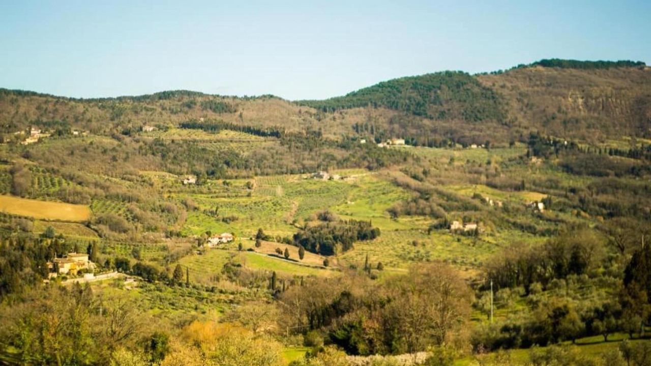 Photo of Others in Sesto Fiorentino