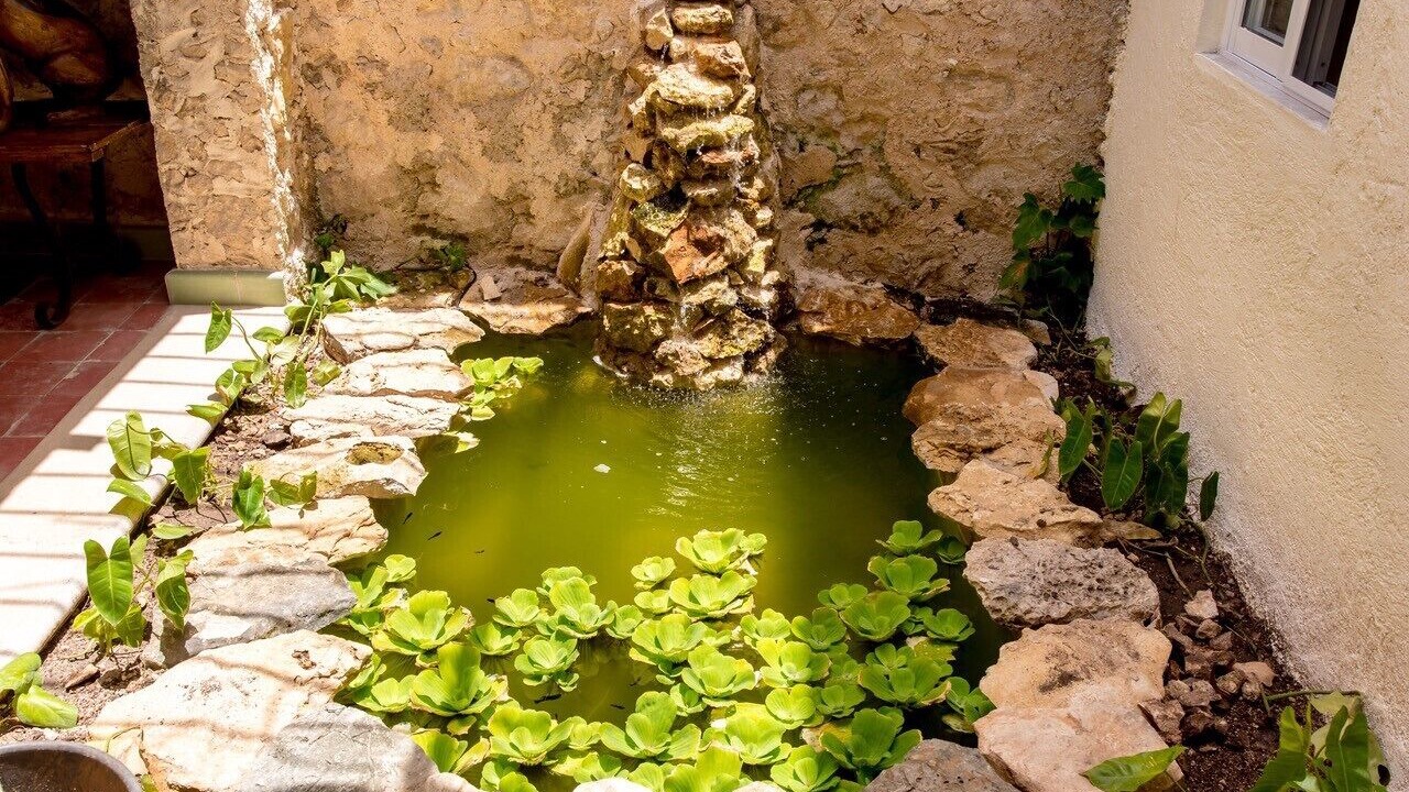 Photo of Outdoor in Barrio de Santiago