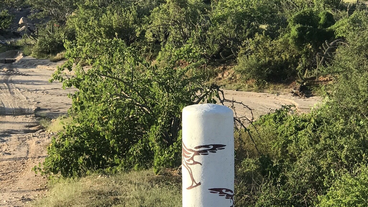 Photo of Others in Los Zacatitos