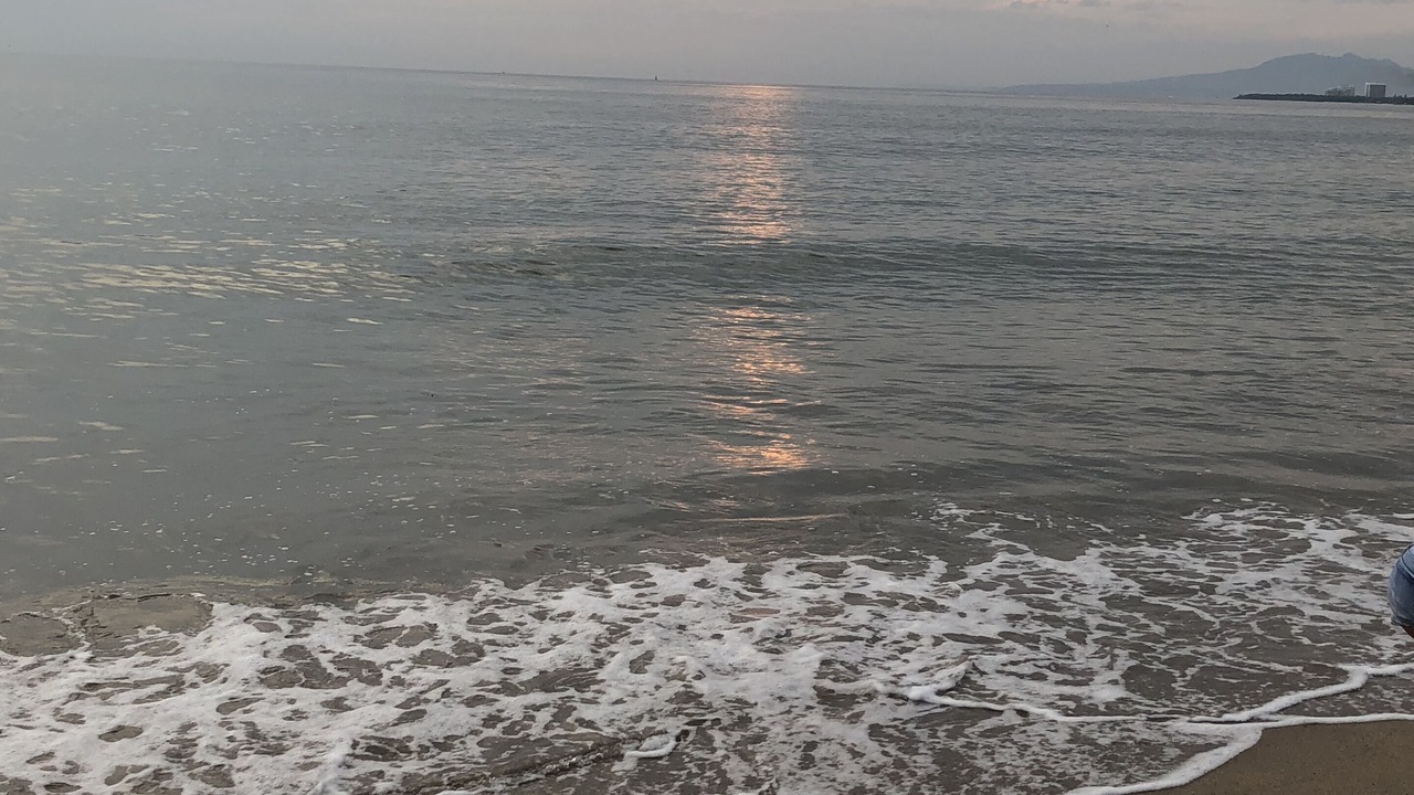 Photo of Others in Fluvial Vallarta