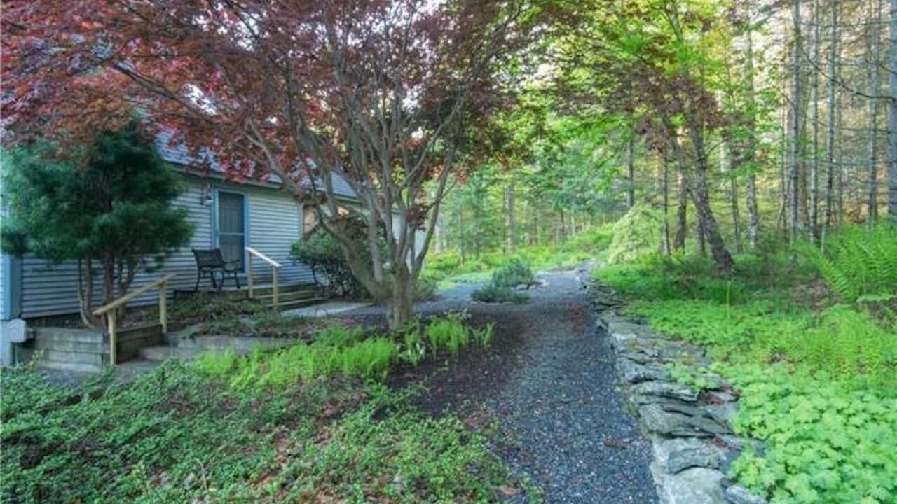 Photo of Outdoor in North Brooklin