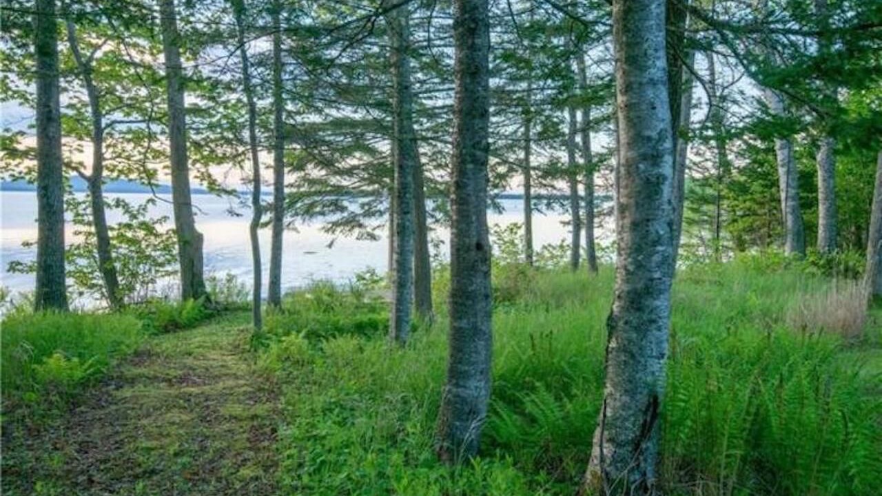 Photo of Outdoor in North Brooklin