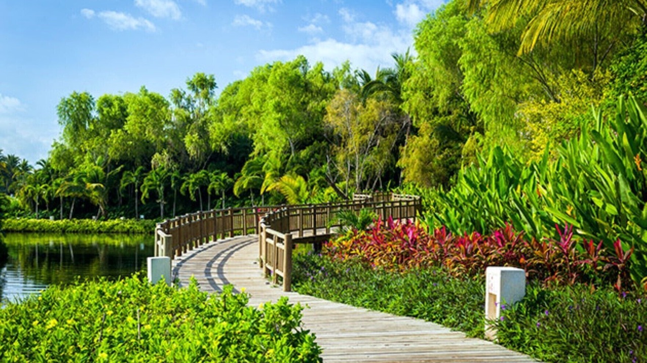 Photo of Outdoor in Bucerias