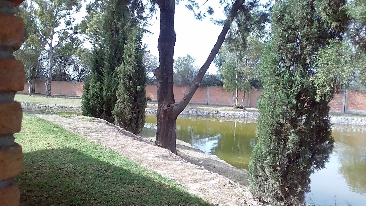 Photo of Outdoor in San Francisco de los Romos