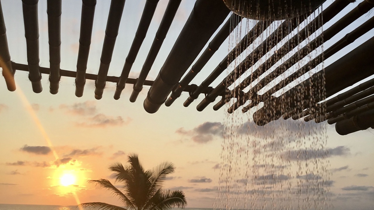 Photo of Others in Troncones