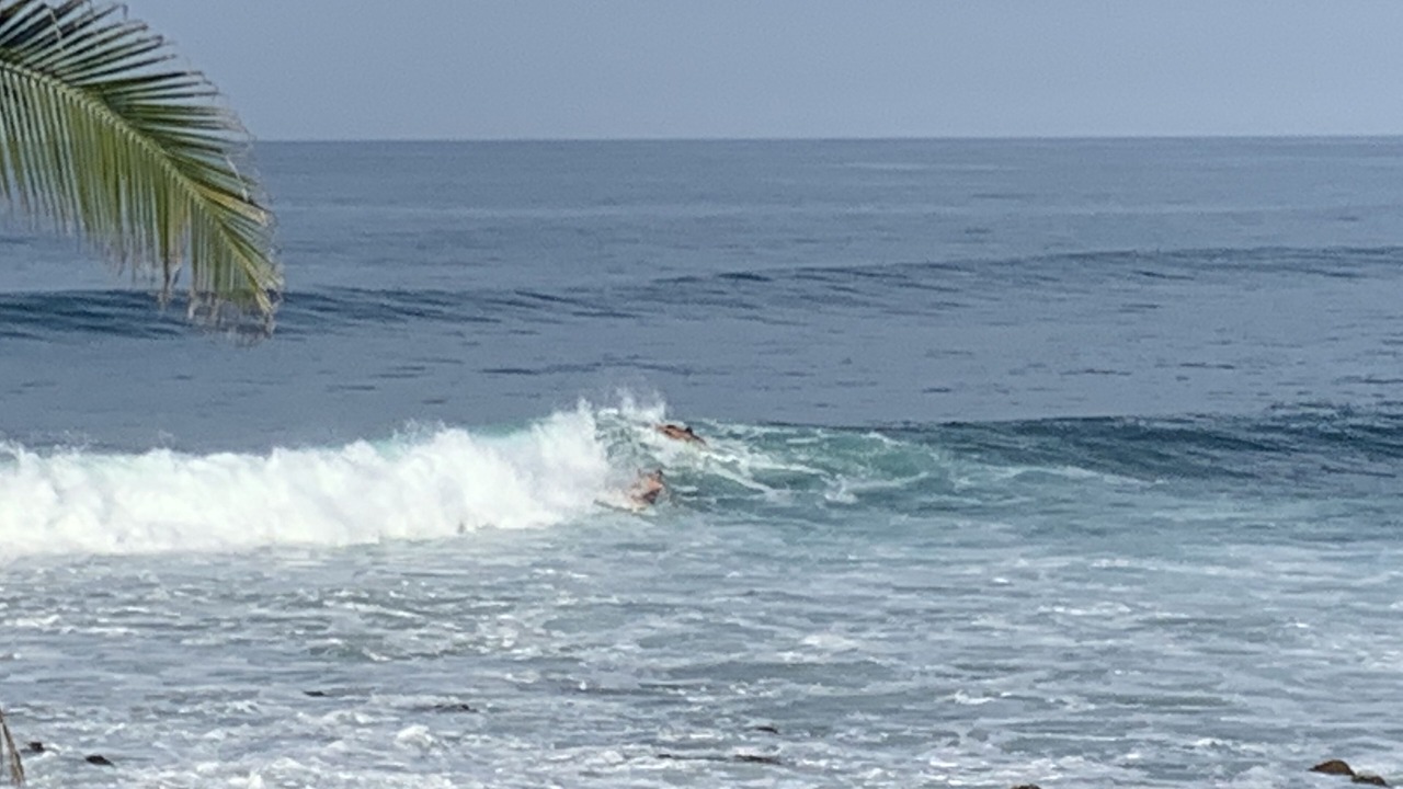 Photo of Others in Troncones