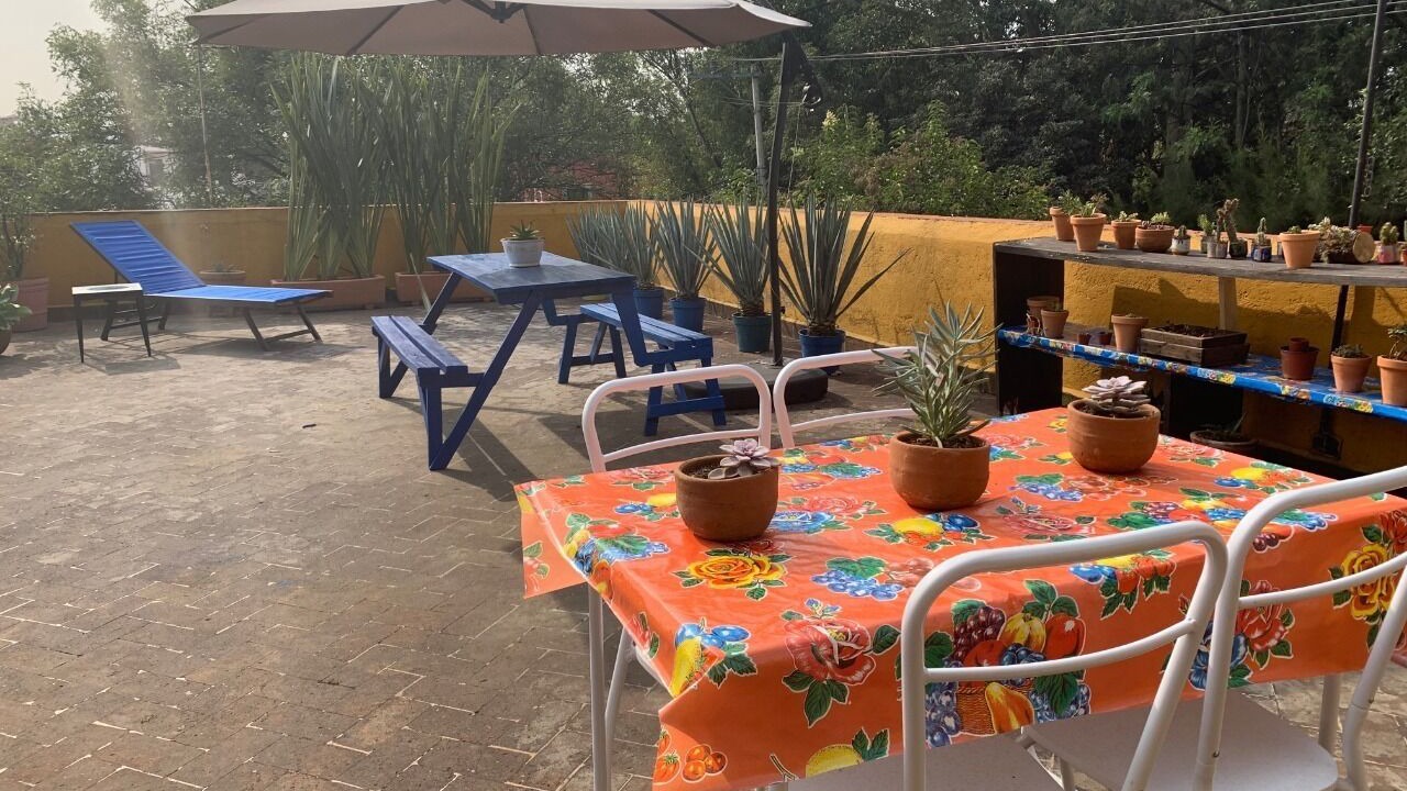 Photo of Outdoor in Coyoacan