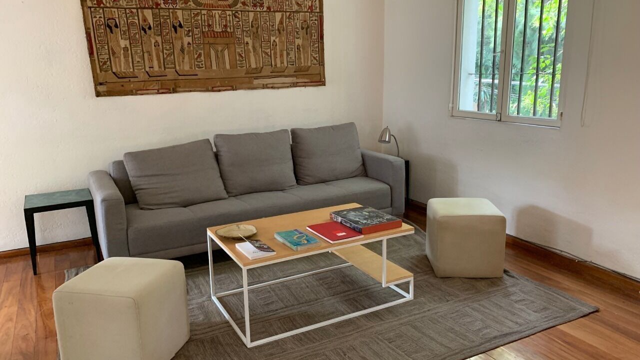 Photo of Livingroom in Coyoacan