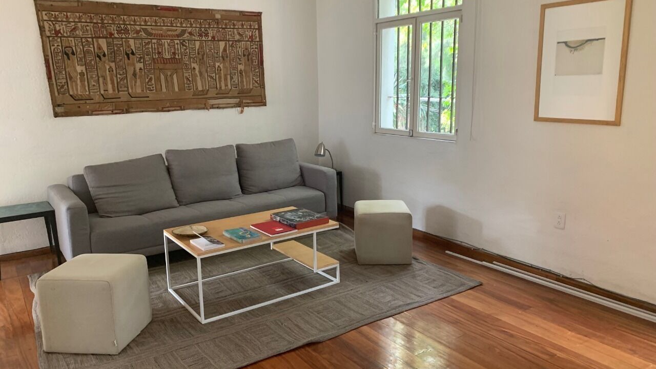 Photo of Livingroom in Coyoacan