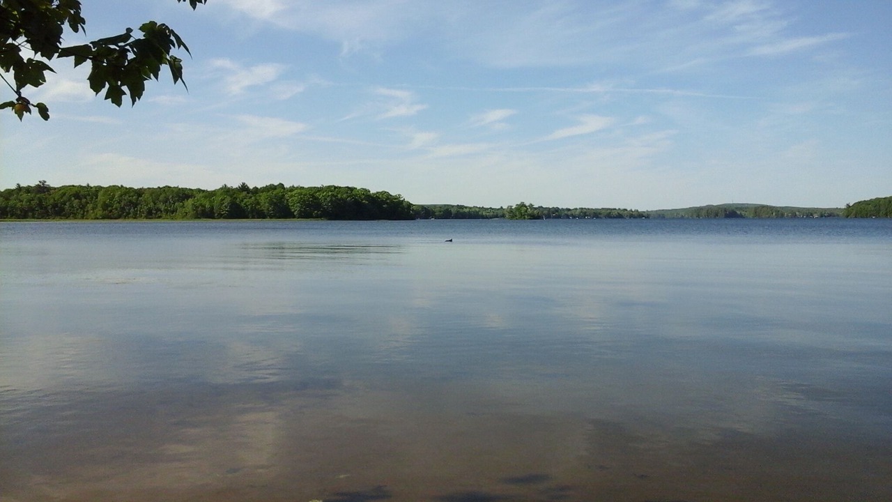 Photo of Outdoor in Monmouth