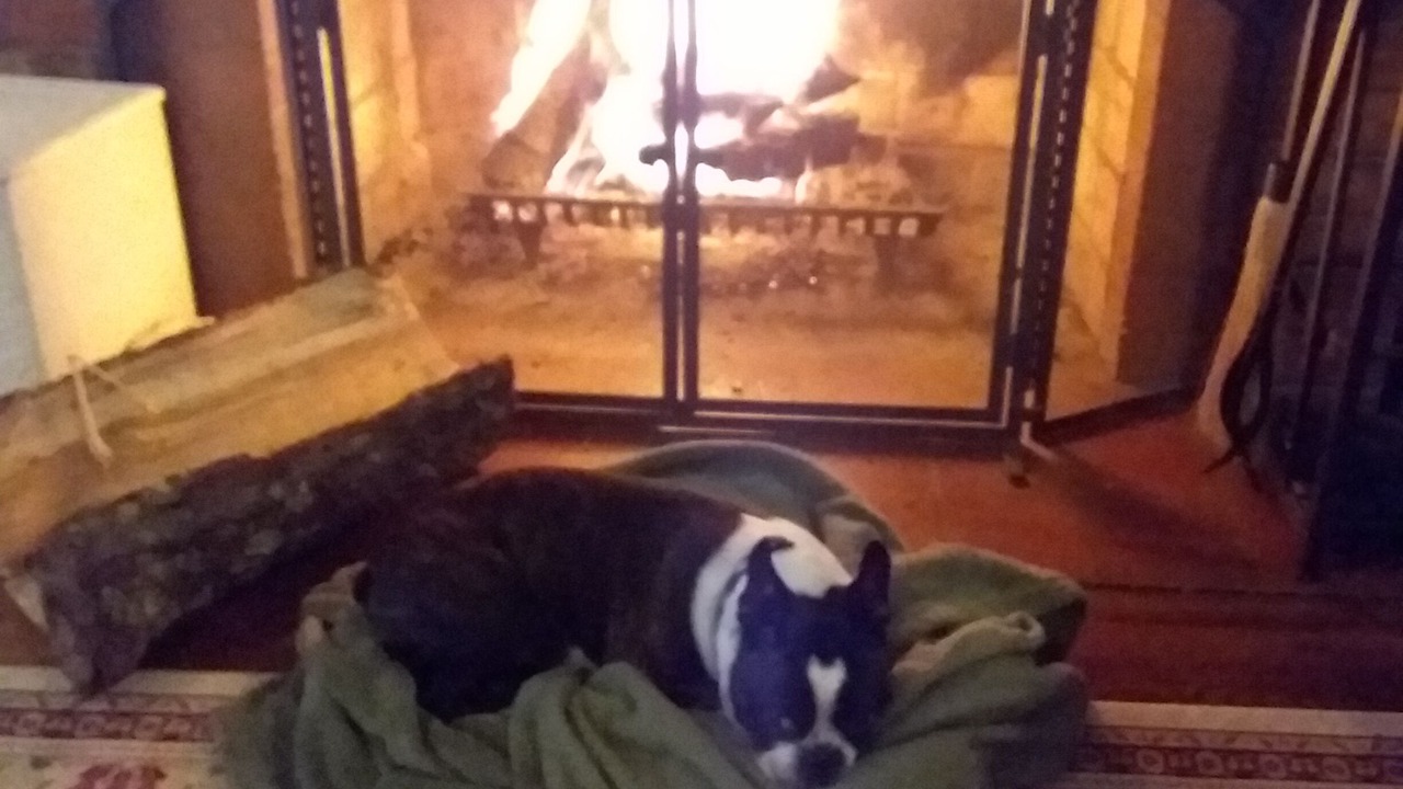 Photo of Livingroom in Mauldin