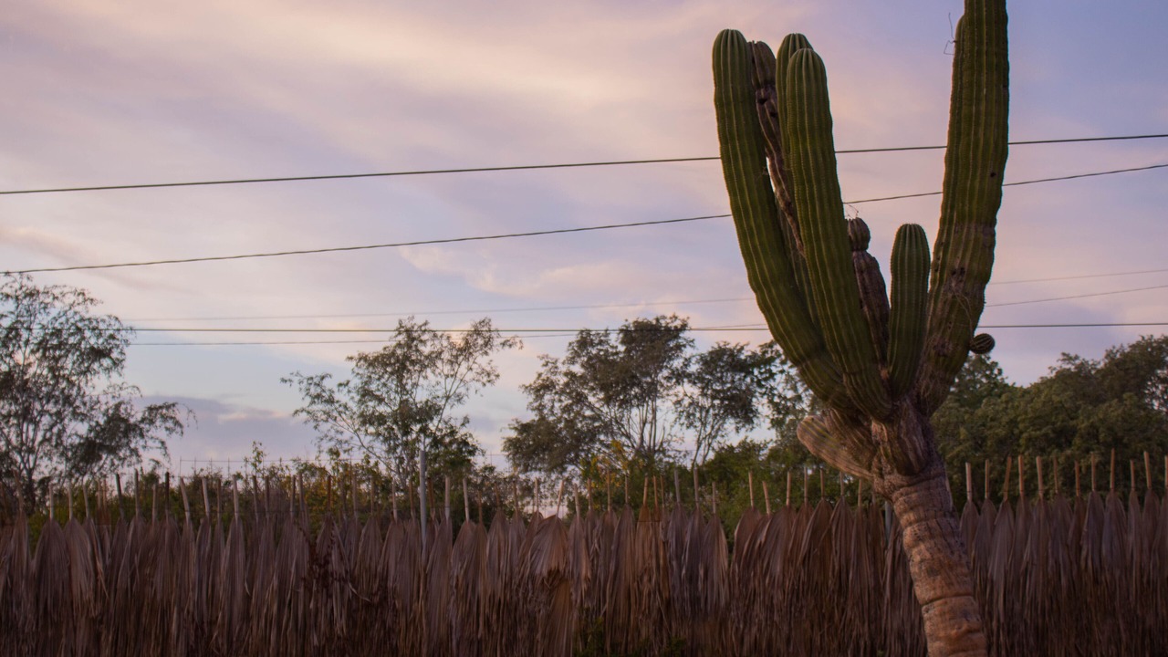 Photo of Outdoor in El Tezal