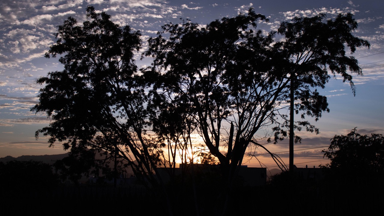 Photo of Outdoor in El Tezal