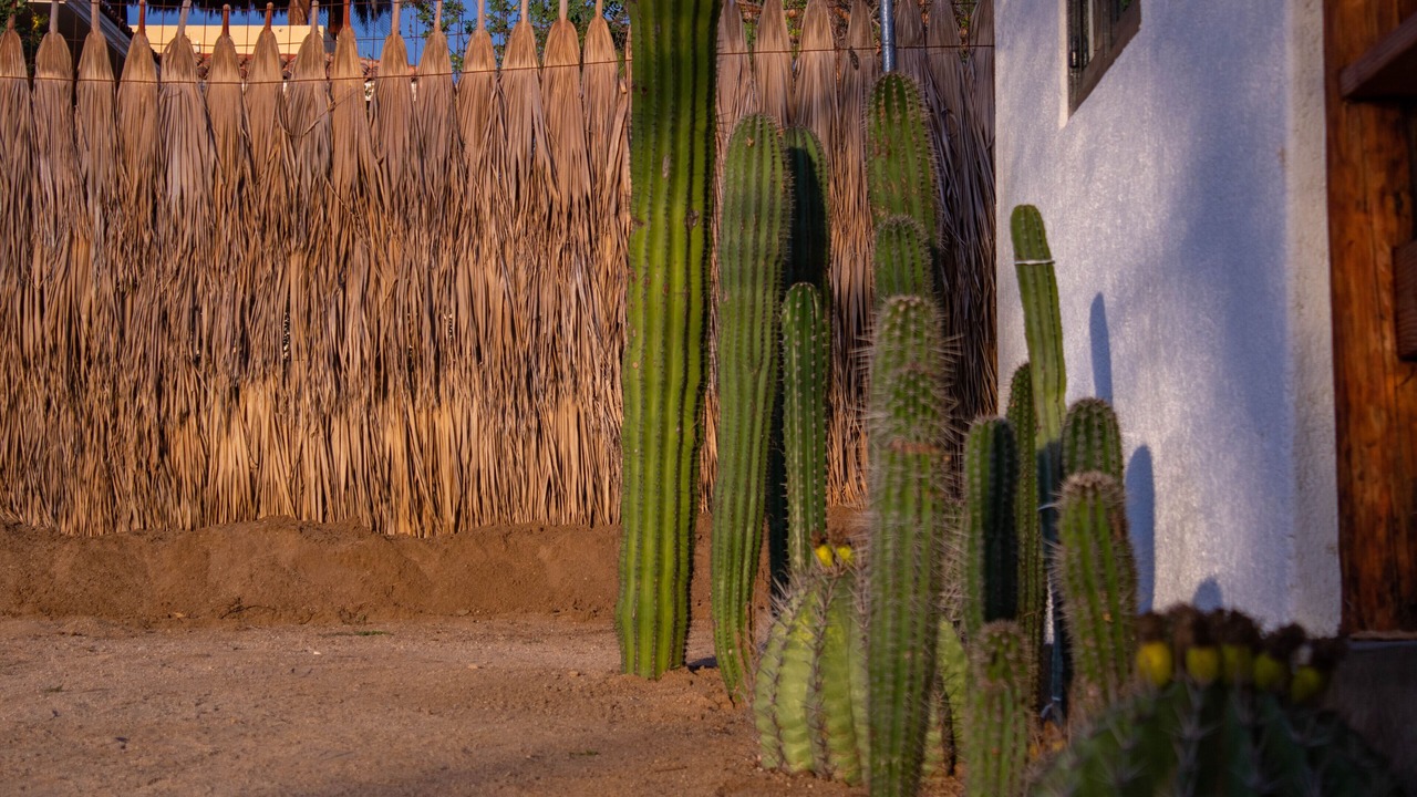 Photo of Outdoor in El Tezal