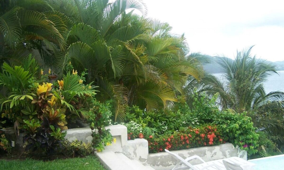 Photo of Others in La Punta