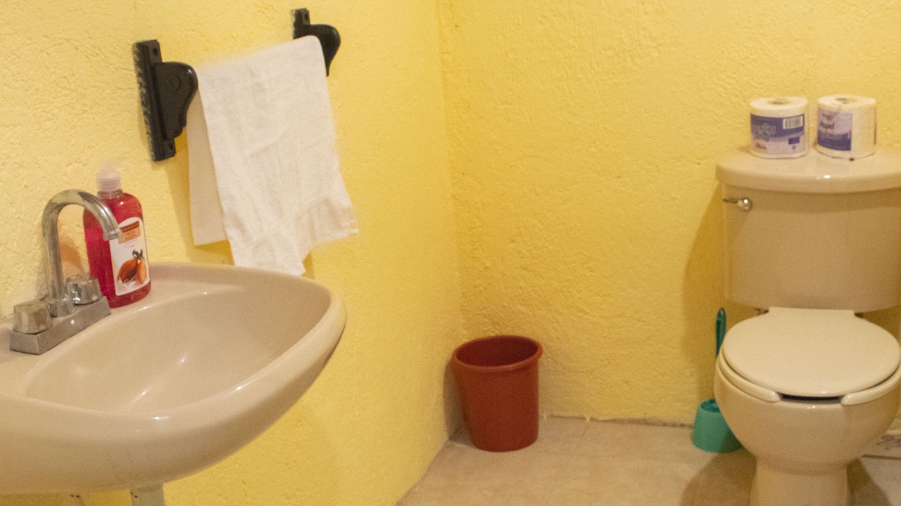 Photo of Bathroom in Hidalgo