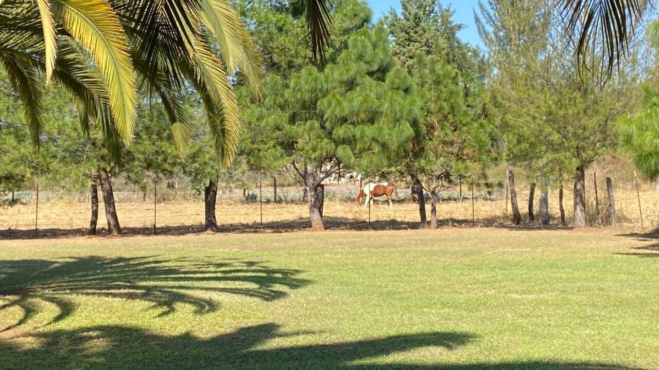 Photo of Outdoor in Mascota