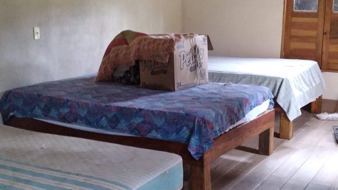 Photo of Bedroom in Mascota