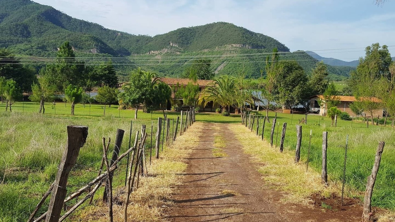 Photo of Outdoor in Mascota