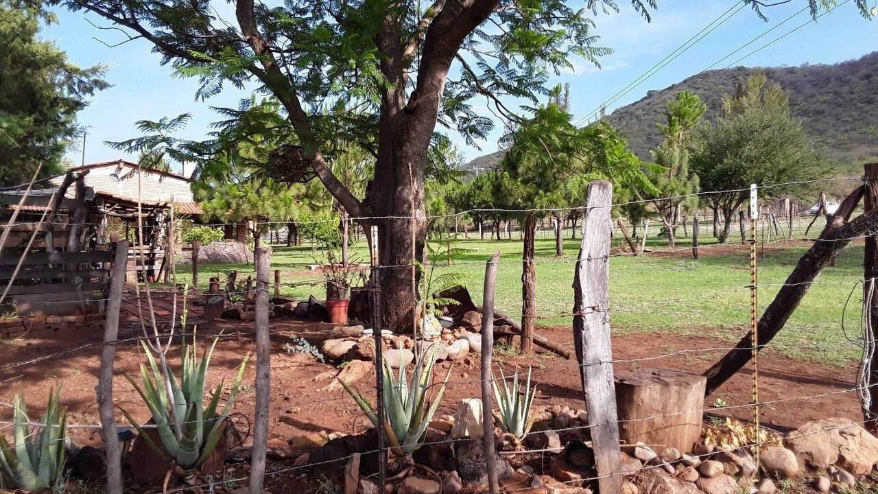 Photo of Outdoor in Mascota