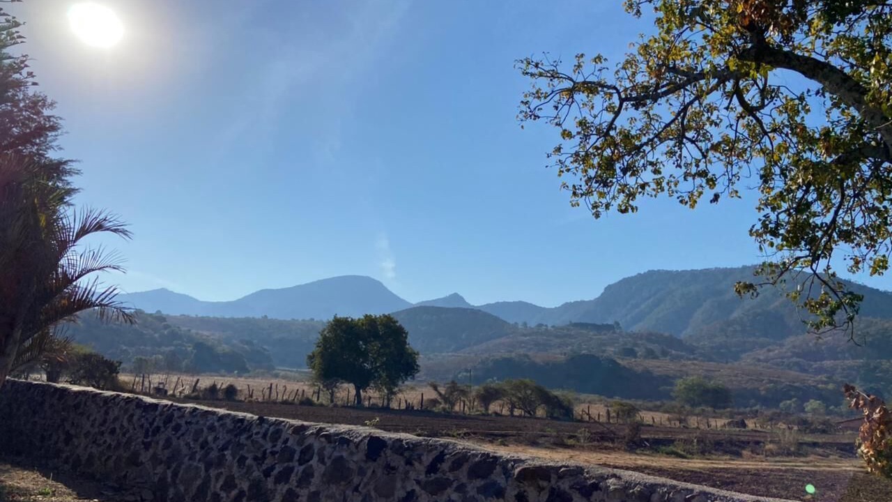 Photo of Outdoor in Mascota
