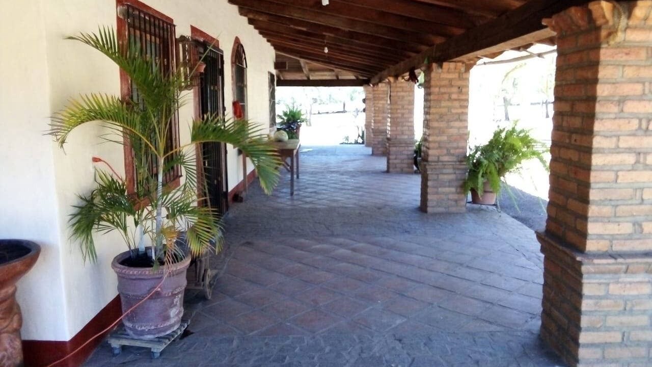 Photo of Patio Balcony in Mascota