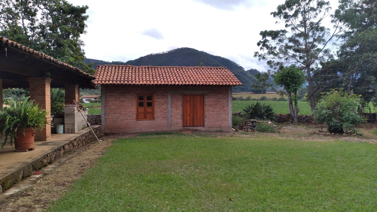 Photo of Outdoor in Mascota