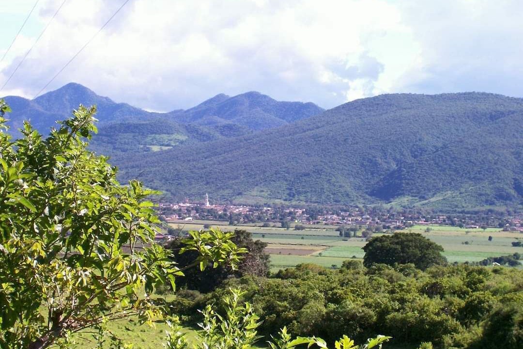 Photo of Others in Mascota