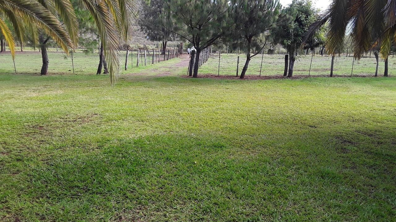 Photo of Others in Mascota