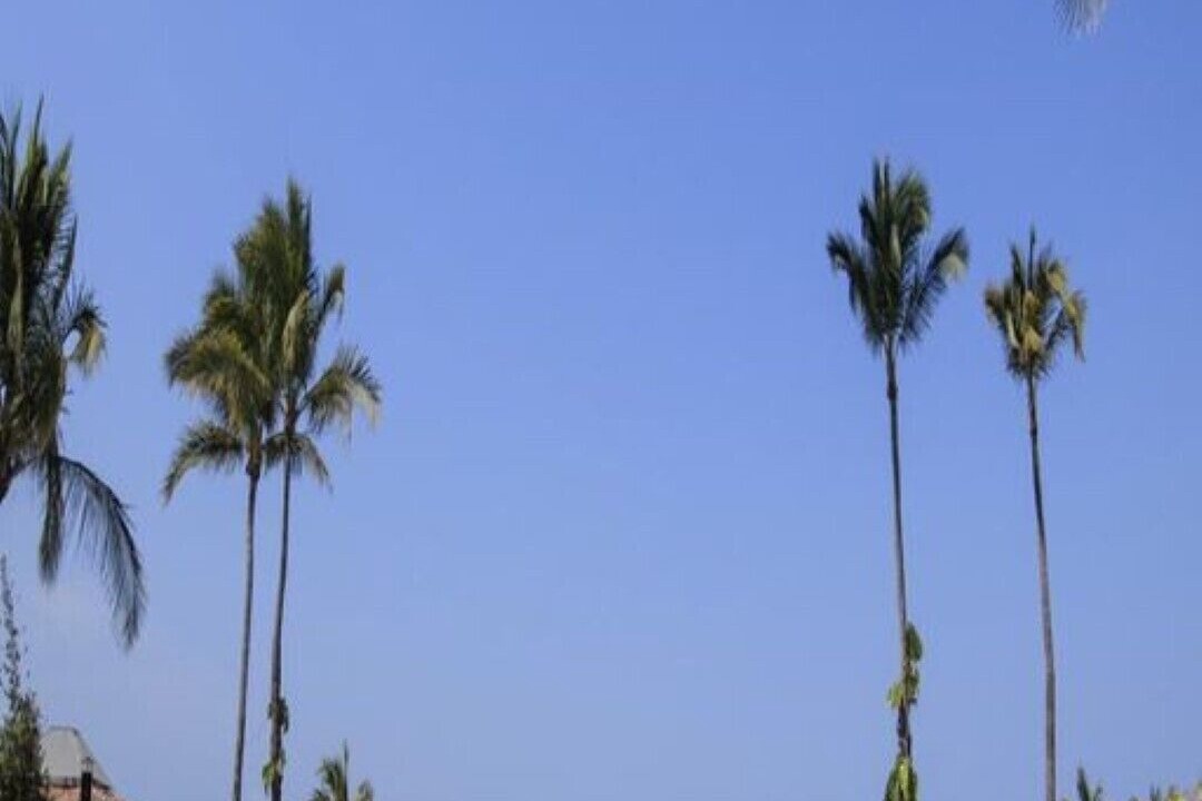 Photo of Outdoor in Marina Vallarta
