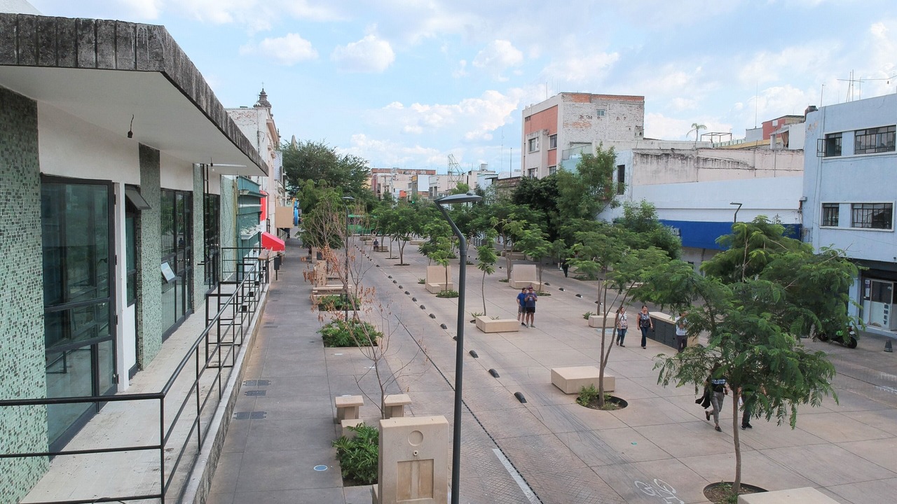 Photo of Others in Guadalajara