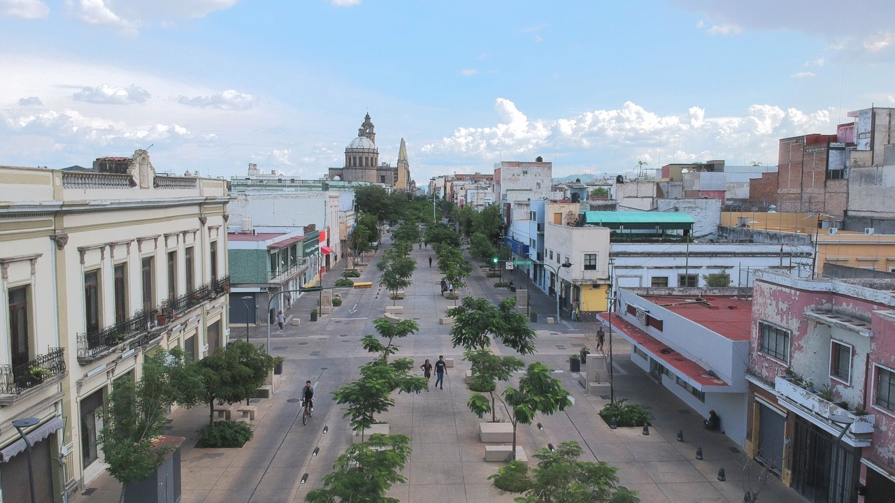 Photo of Others in Guadalajara