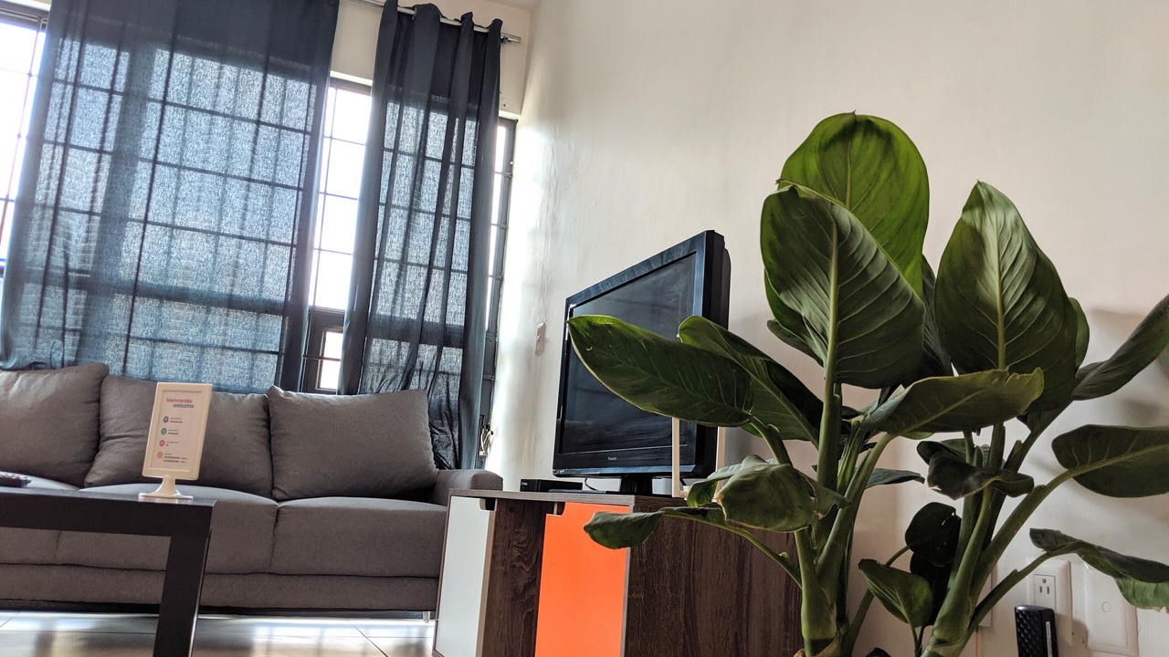Photo of Livingroom in Guadalajara