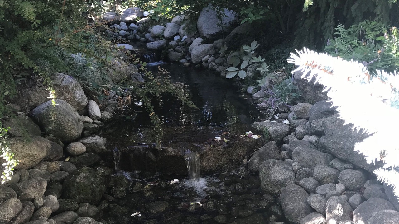 Photo of Outdoor in Sandy