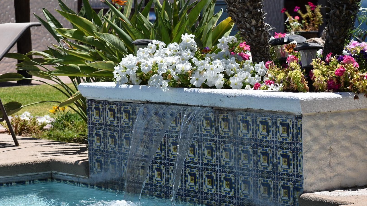 Photo of Outdoor in San Carlos