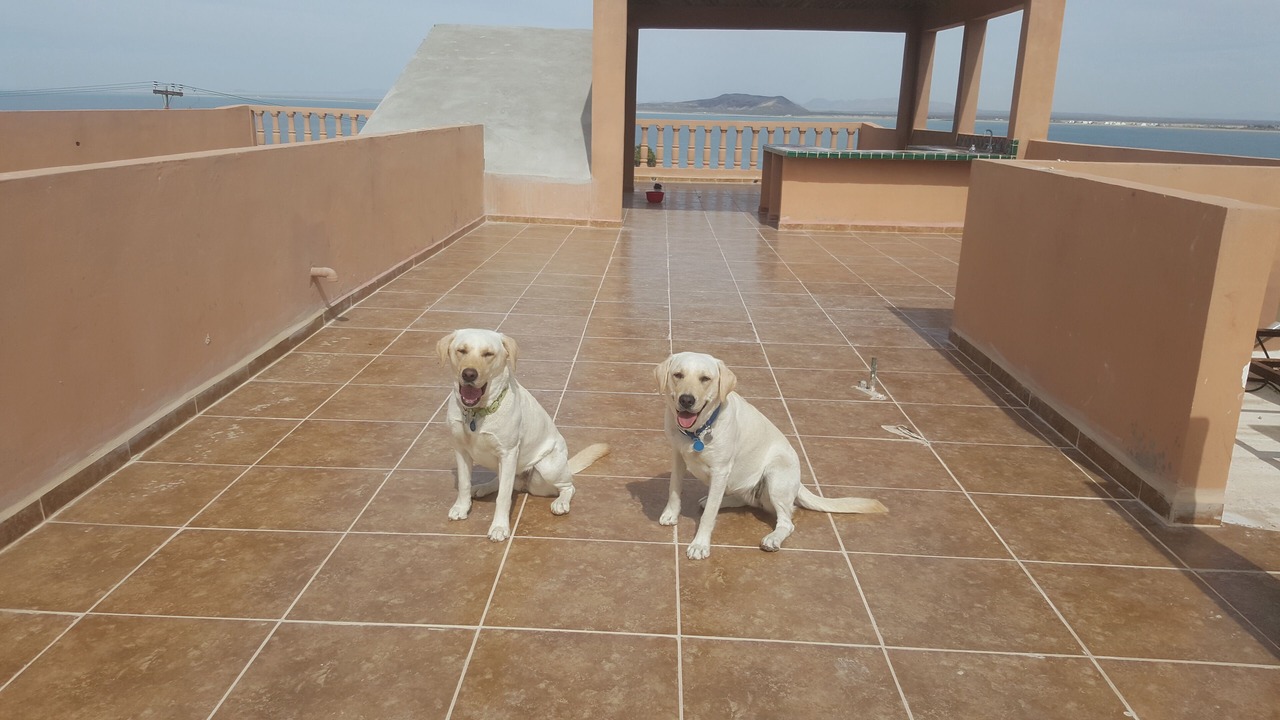 Photo of Others in La Choya