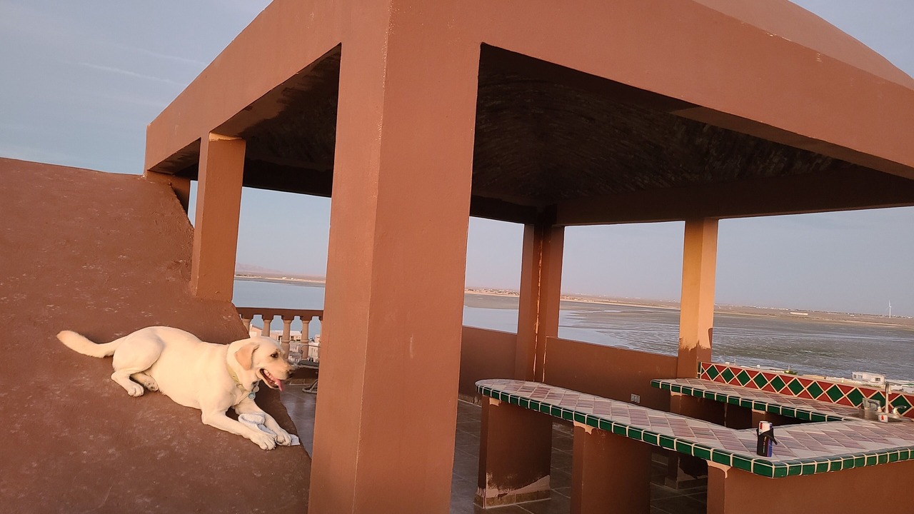 Photo of Outdoor in La Choya