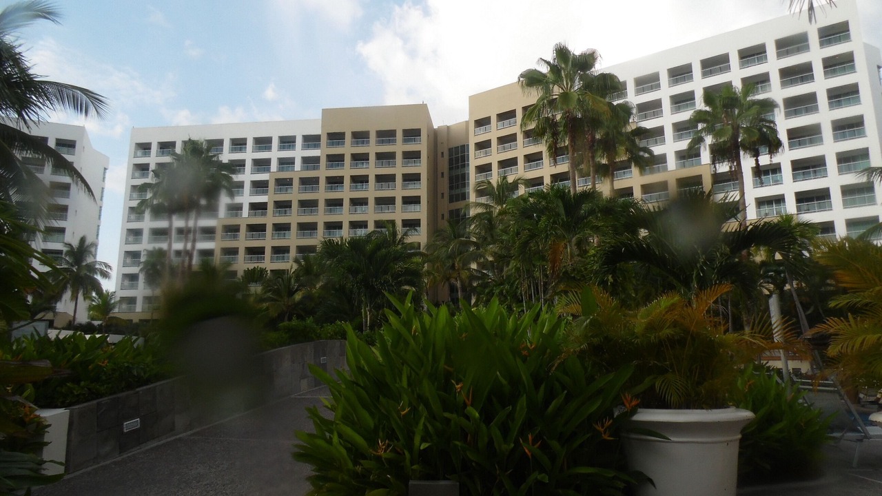 Photo of Outdoor in Isla Iguana