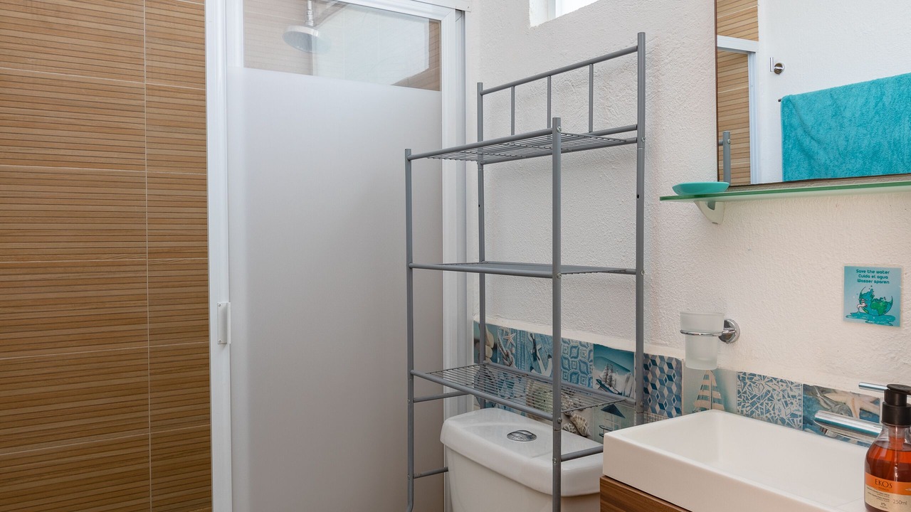 Photo of Bathroom in Los Tamarindos
